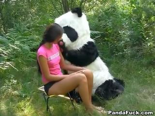 X jmenovitý video v the les s a obrovský hračka panda